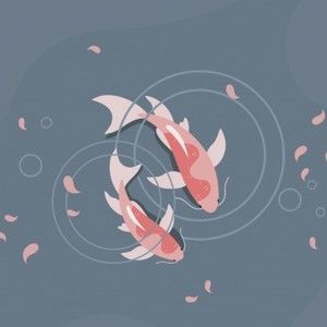 Meet your Posher, Pranavi